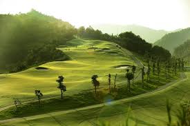 hilltop4